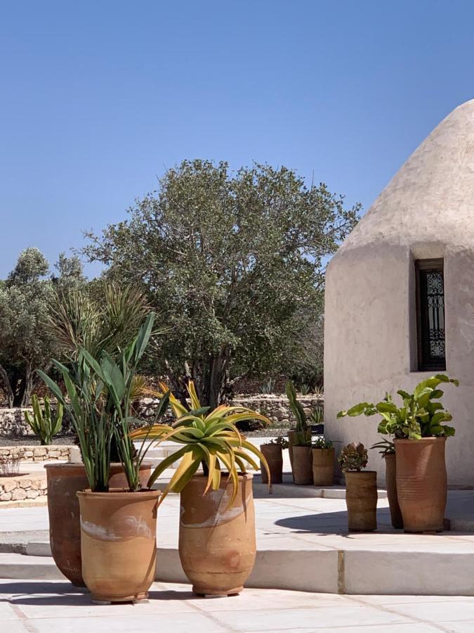 Les Jardins De Villa Maroc Εσαουίρα Εξωτερικό φωτογραφία